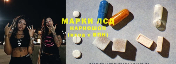 стафф Аркадак