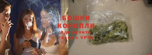 прущие грибы Армянск