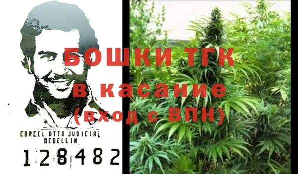 стафф Аркадак