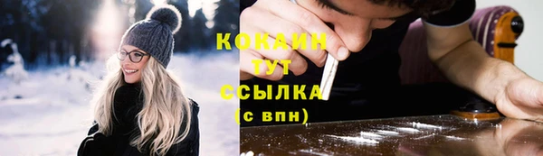 прущие грибы Армянск