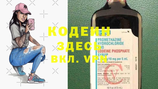 прущие грибы Армянск
