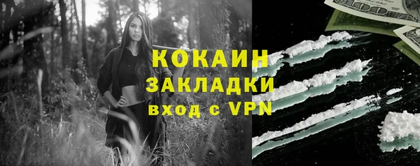 прущие грибы Армянск