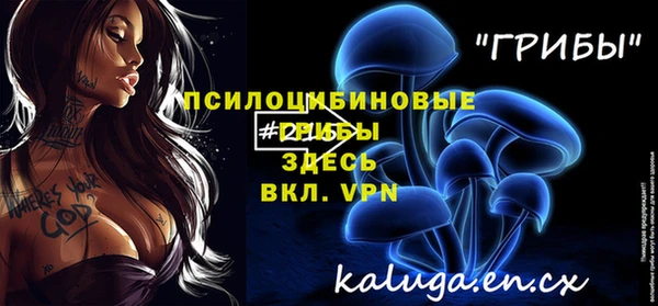стафф Аркадак