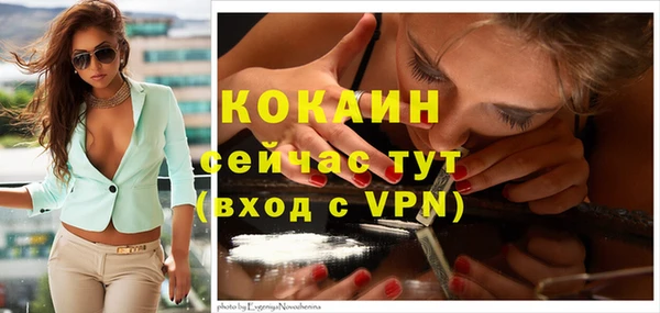 стафф Аркадак