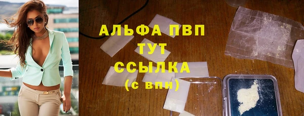 прущие грибы Армянск