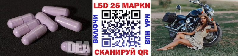 Лсд 25 экстази ecstasy  купить   kraken зеркало  Дорогобуж 