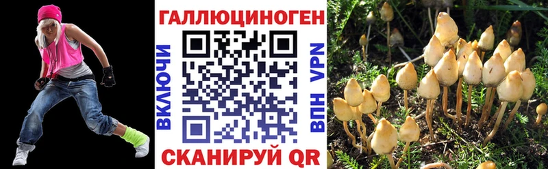 Псилоцибиновые грибы мицелий  хочу   МЕГА ССЫЛКА  Дорогобуж 